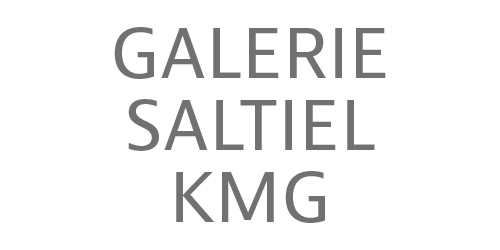 Logo Galerie Saltiel