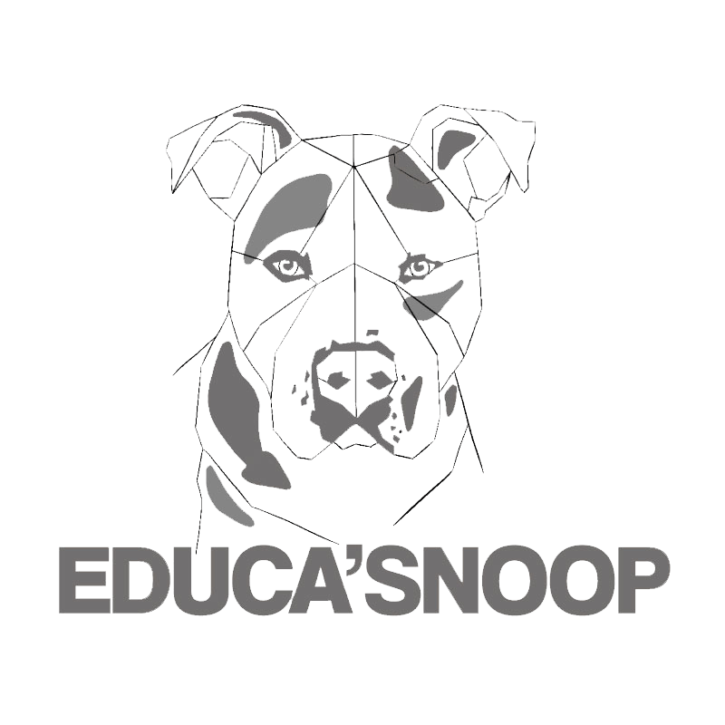 Logo gris Educa'Snoop