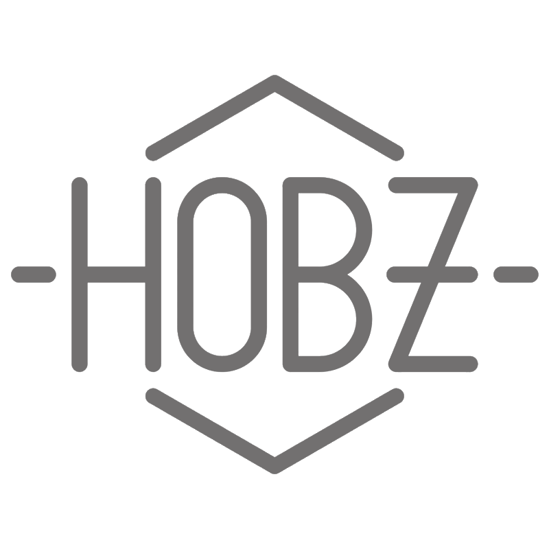 Logo gris Monsieur HOBZ