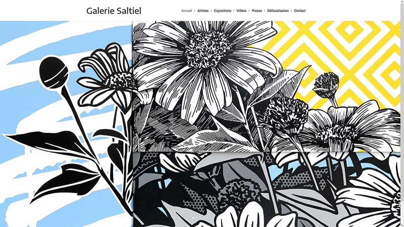 Site web Galerie Saltiel