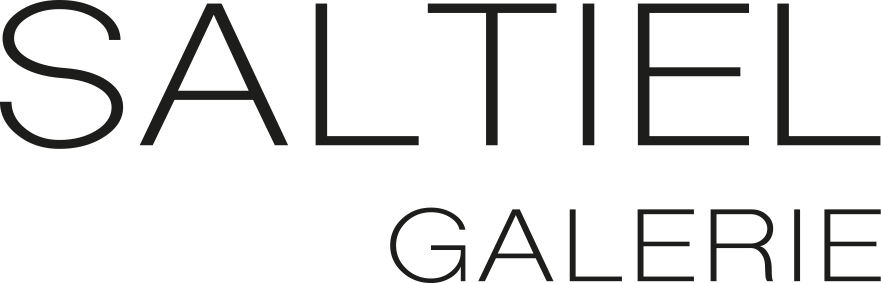Logo Galerie Saltiel